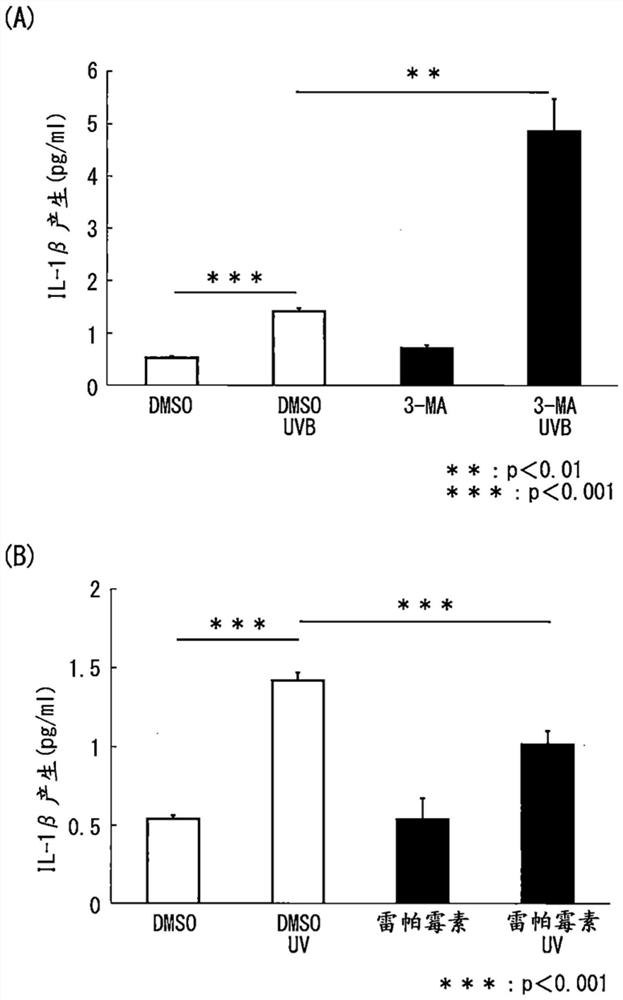 Ultraviolet light-induced inflammation suppressor comprising alternative autophagy inducer