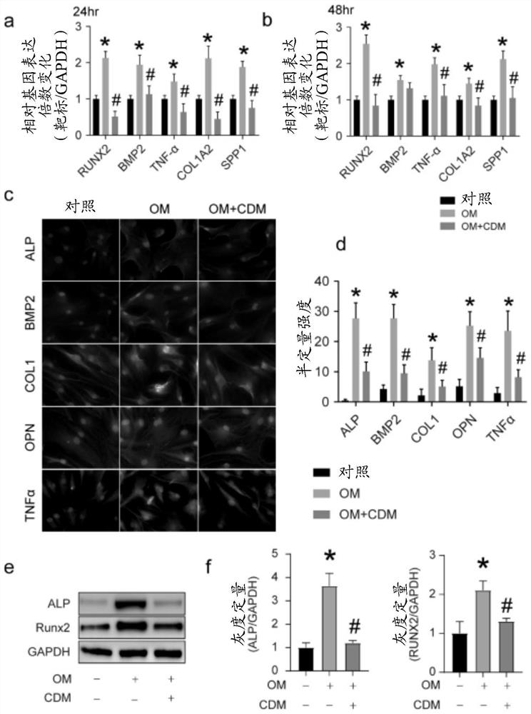 Use of cardamonin in treatment of aortic valve calcification