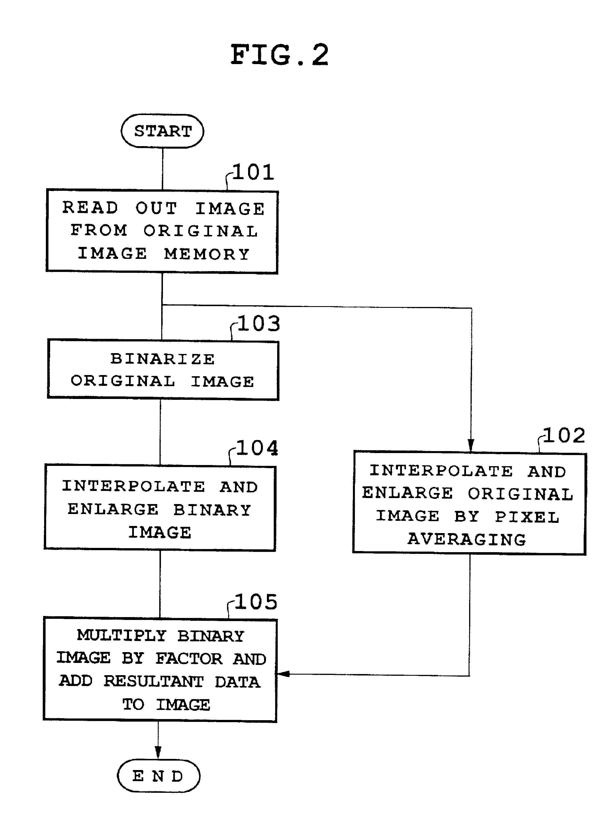 Electronic endoscope apparatus to which electronic endoscopes with different numbers of pixels can be connected