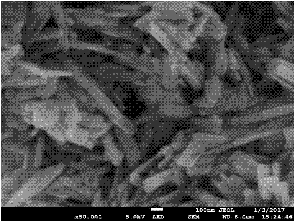 Preparation method of vanadium dioxide nano material and application in rechargeable magnesium battery