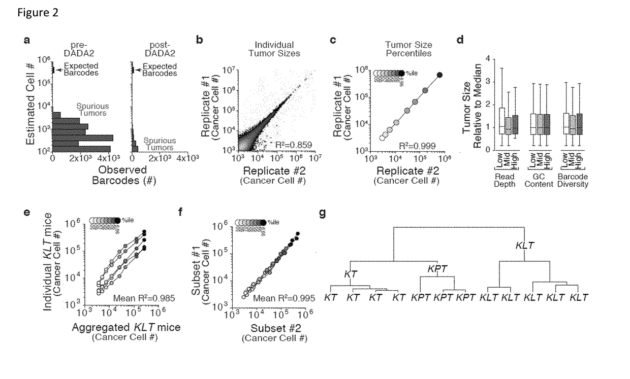 Compositions and methods for multiplexed quantitative analysis of cell lineages