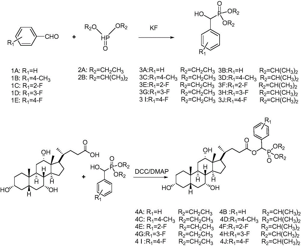 Bile acid-alpha-hydroxyphosphonate derivatives and synthetic method thereof