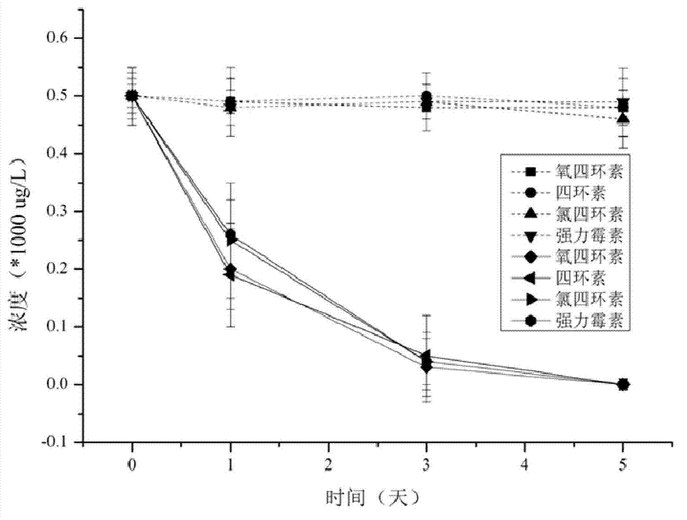 Plant restoration method of tetracycline-polluted wastewater