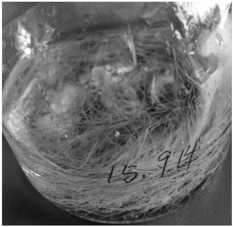 Induction method of Rabdosia rubescens Hemsl. Hara hairy roots, and induction expression method of oridonin