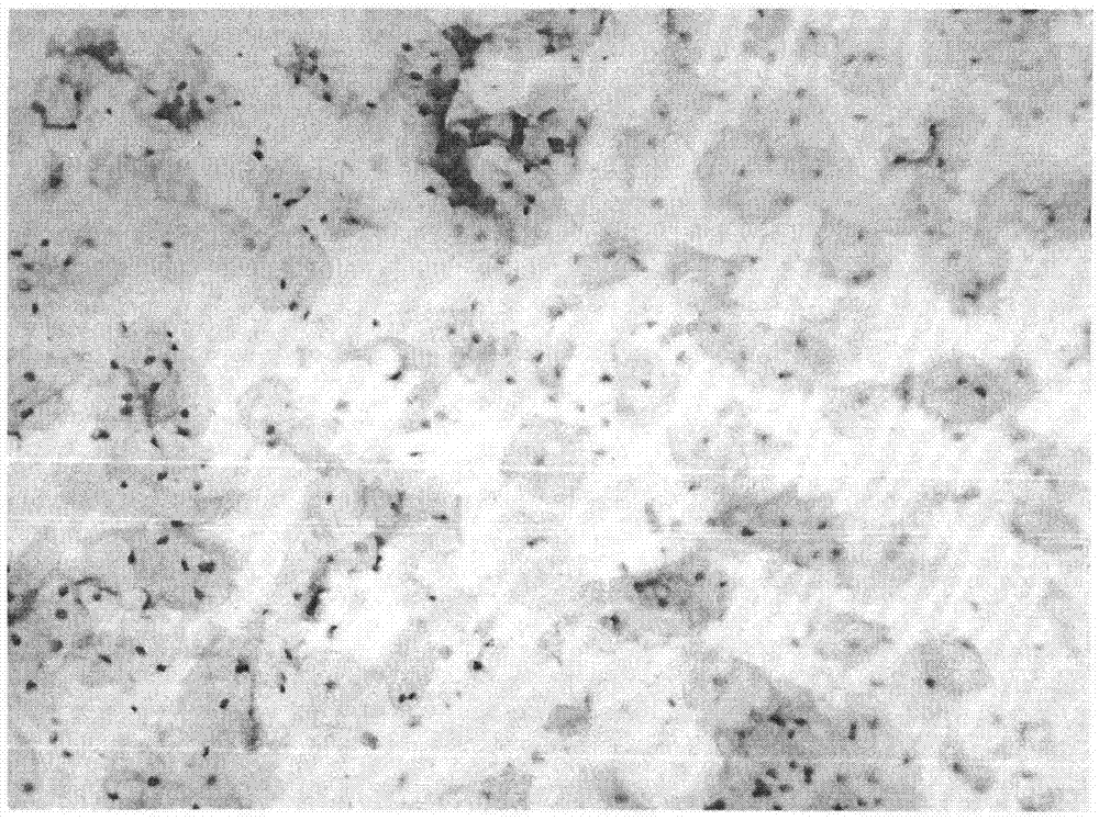 Liquid-based cell preservation liquid and preparation method therefor