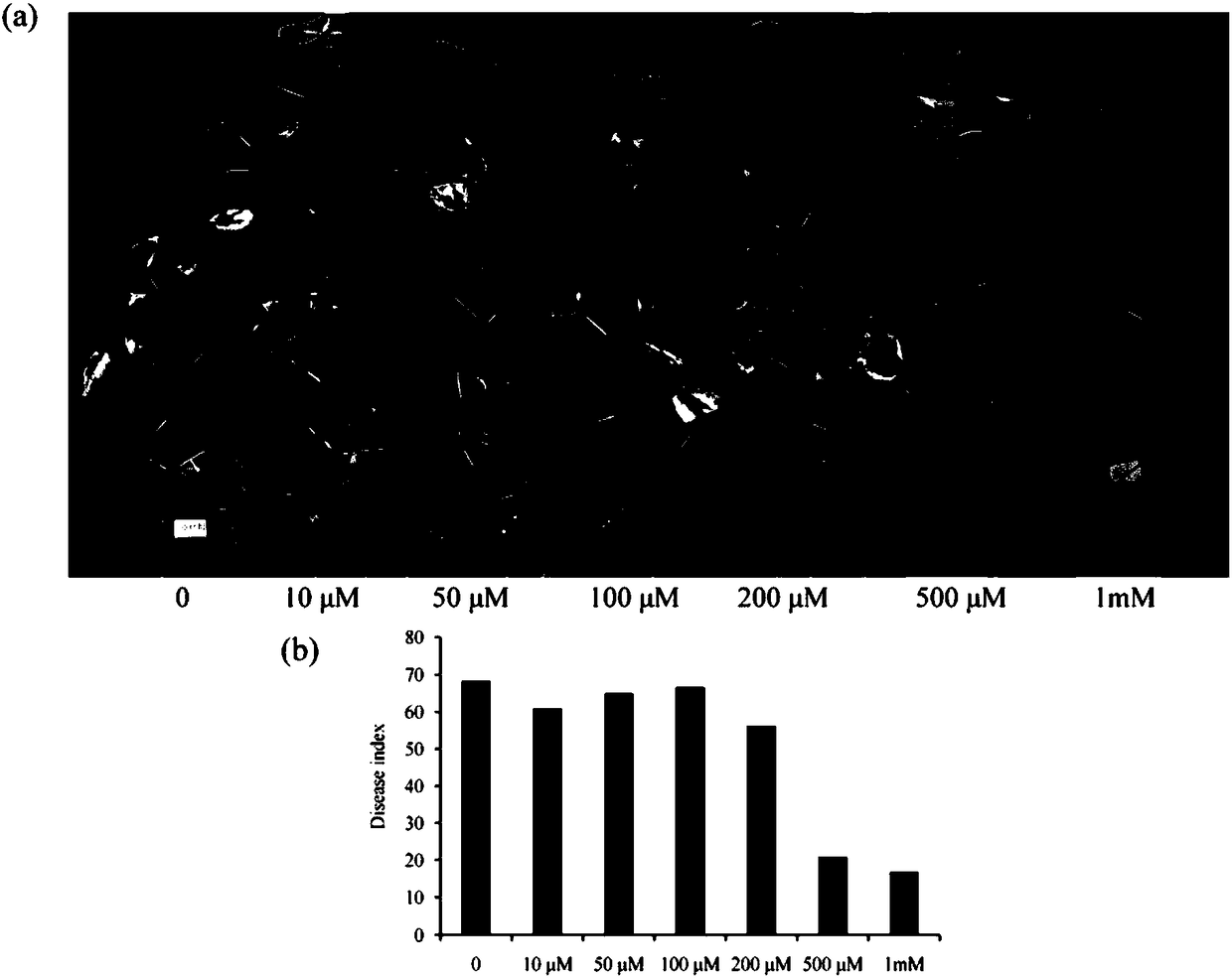 Cotton immune system activator and application thereof