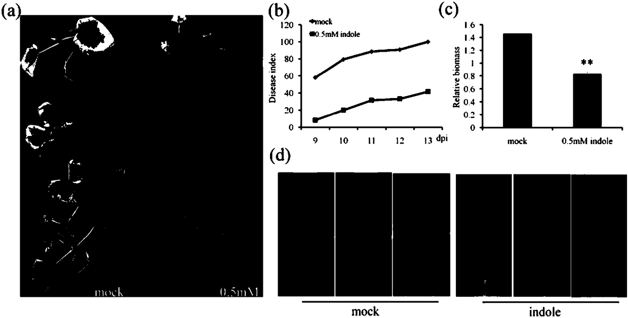 Cotton immune system activator and application thereof