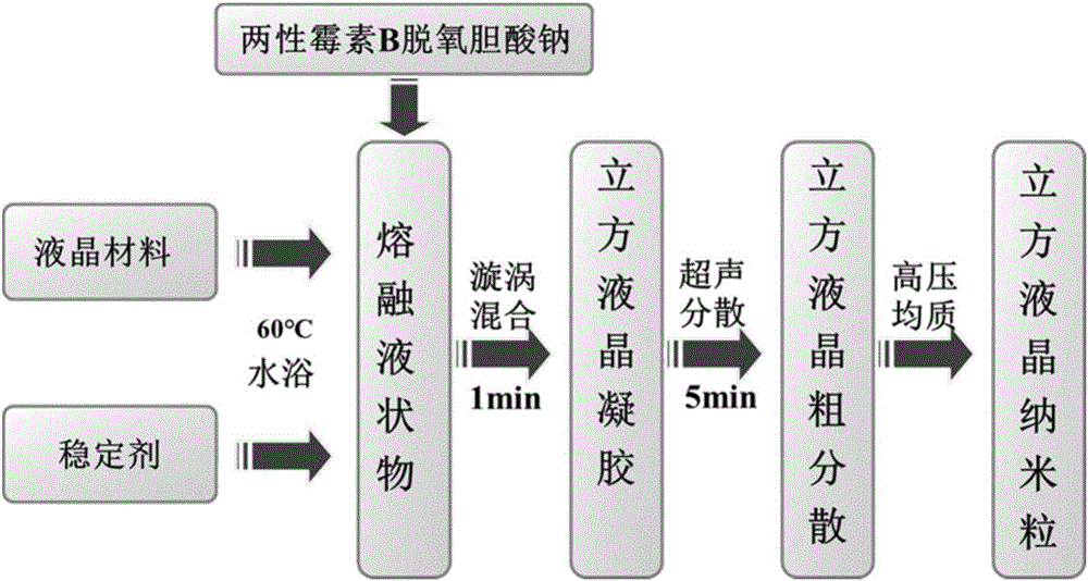 Amphotericin B cubic liquid crystal gel, cubic liquid crystal nanoparticles and preparation method thereof