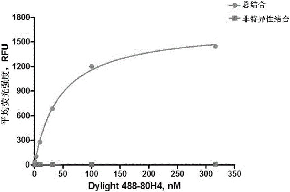 Method for detecting affinity of monoclonal antibodies of transmembrane proteins