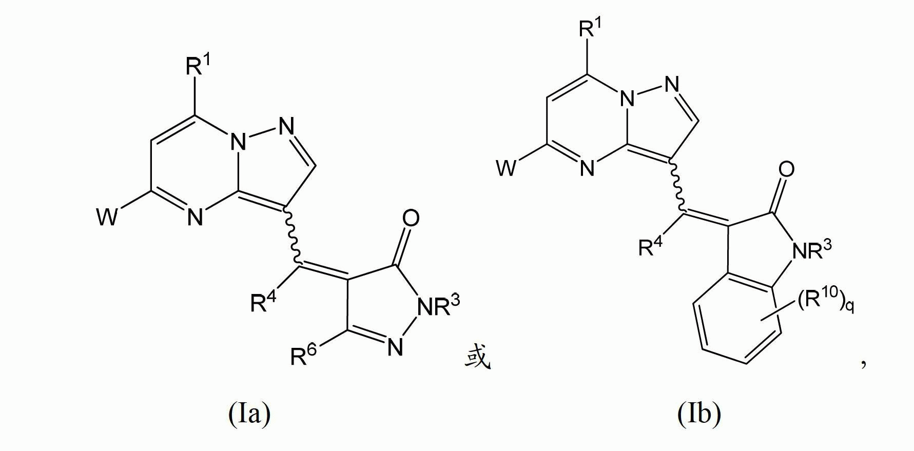 Pharmaceutically useful heterocycle-substituted lactams