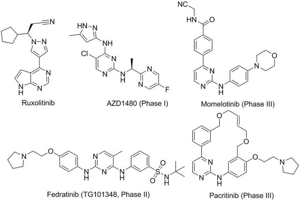 JAK kinase inhibitor with 4-amino-(1H)-pyrazole structure and preparation method and application thereof