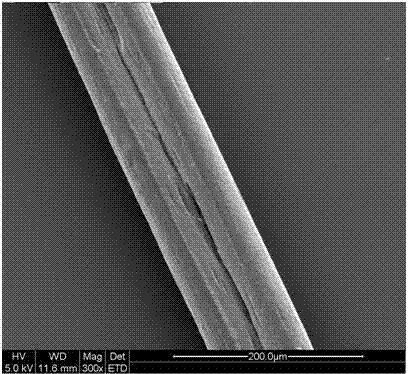 Preparation method of wheat protein fibers