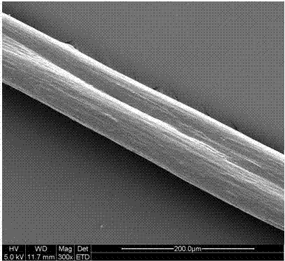 Preparation method of wheat protein fibers