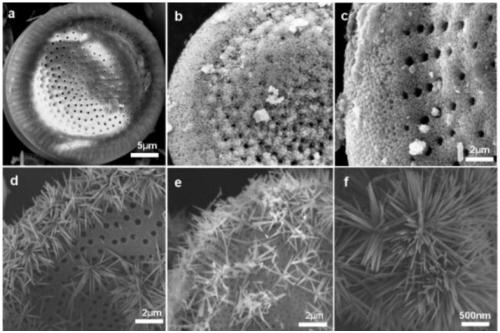 A kind of adsorbable degradable cr (ⅵ) diatomite composite material and preparation method thereof