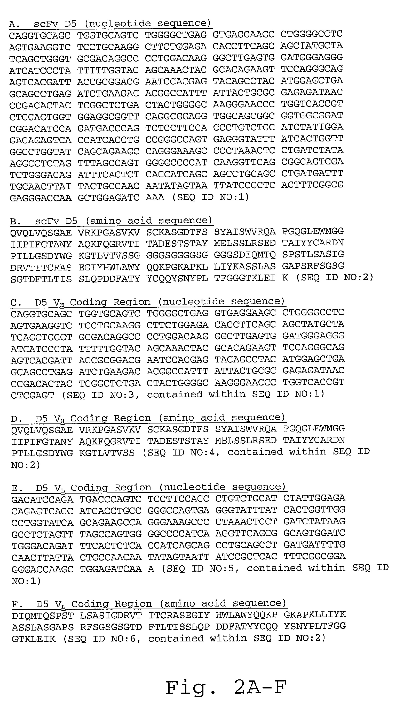 Human antibodies interacting with HIV gp41