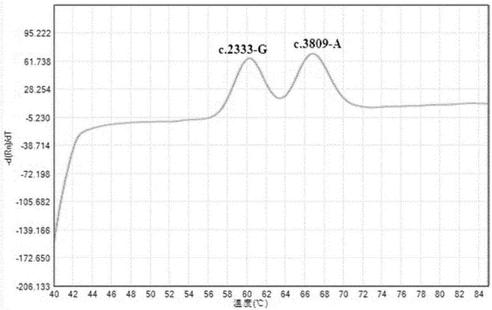 Method and kit for genotyping point mutation