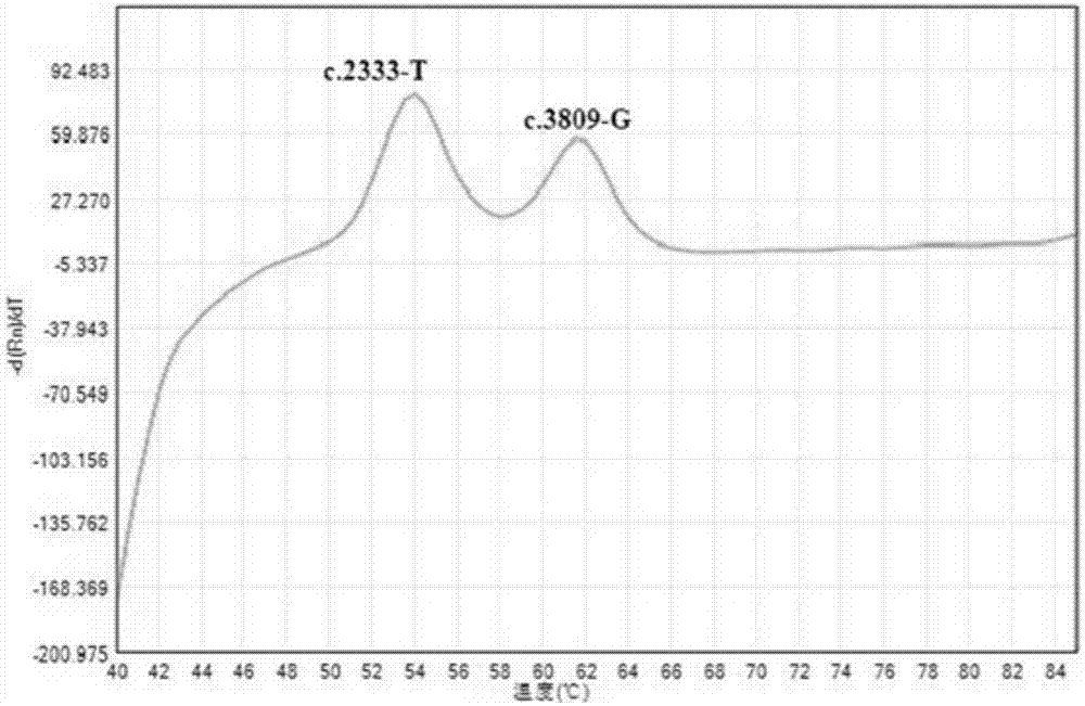 Method and kit for genotyping point mutation