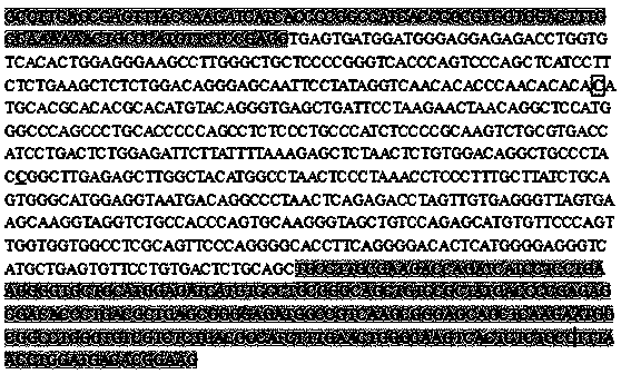 Thyroid hormone receptor (TR) alpha gene serving as goat growth trait genetic marker and application