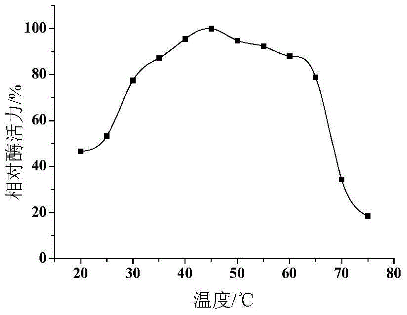 Penicillium pinophilum strain and method for preparation of dextranase from the same