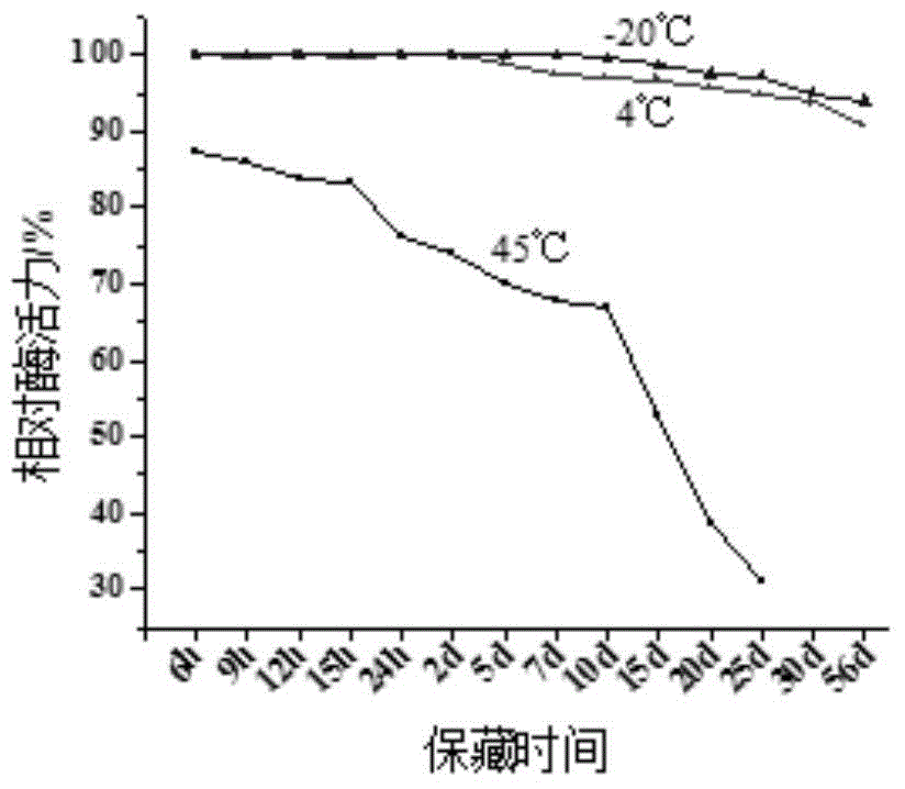 Penicillium pinophilum strain and method for preparation of dextranase from the same