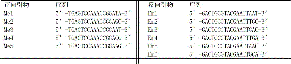 Method for quickly and accurately identifying northern snakehead, Taiwan snakehead and hybrid snakehead