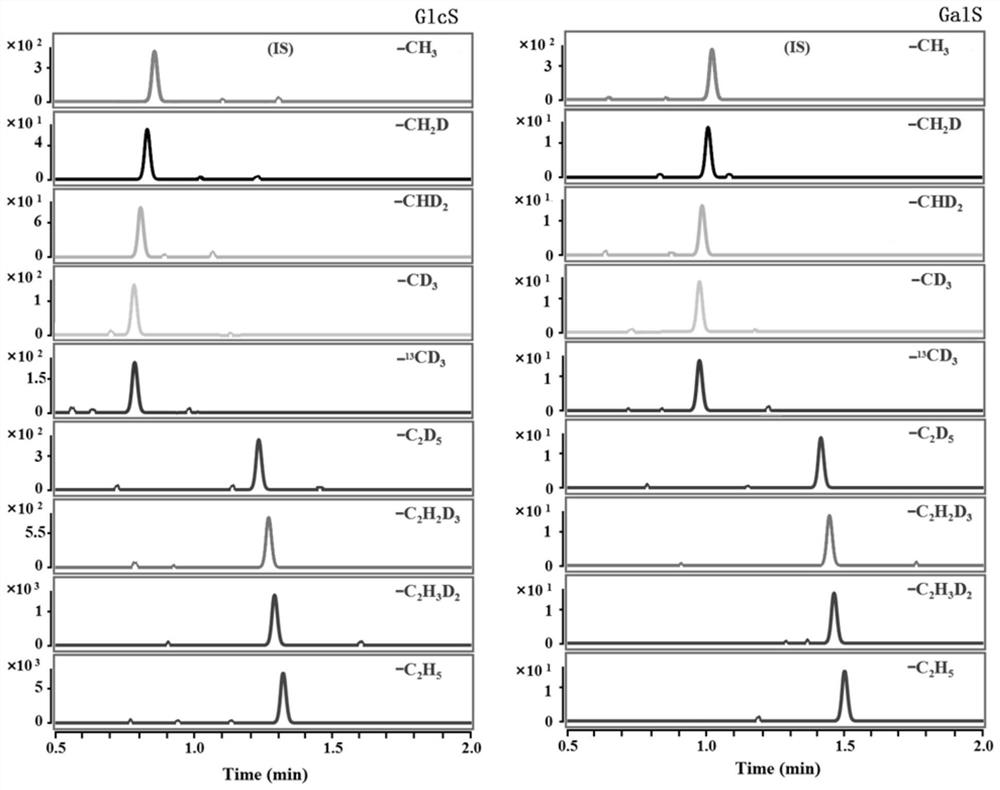 Multi-channel mass spectrometry derivatization reagent for detecting sphingosine glucoside and sphingosine galactoside and its preparation method and application