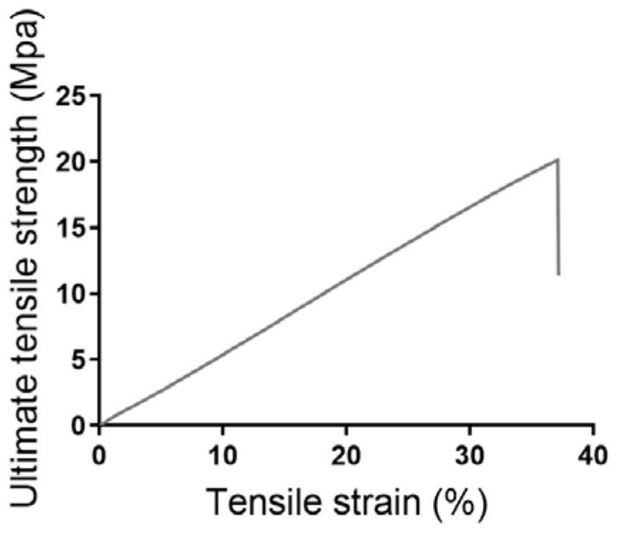 Collagen aggregate scaffold material and preparation method thereof