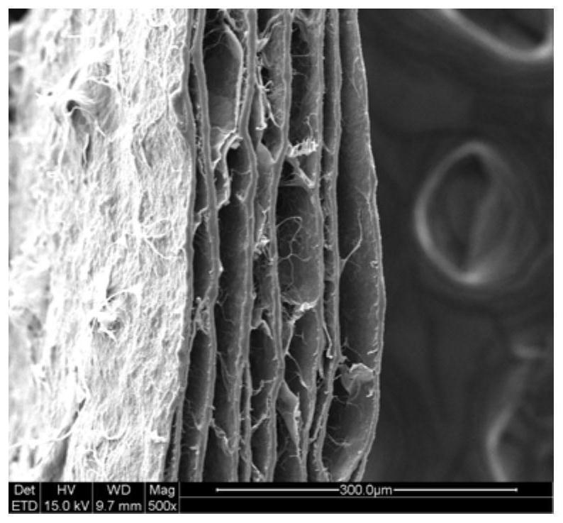 Collagen aggregate scaffold material and preparation method thereof