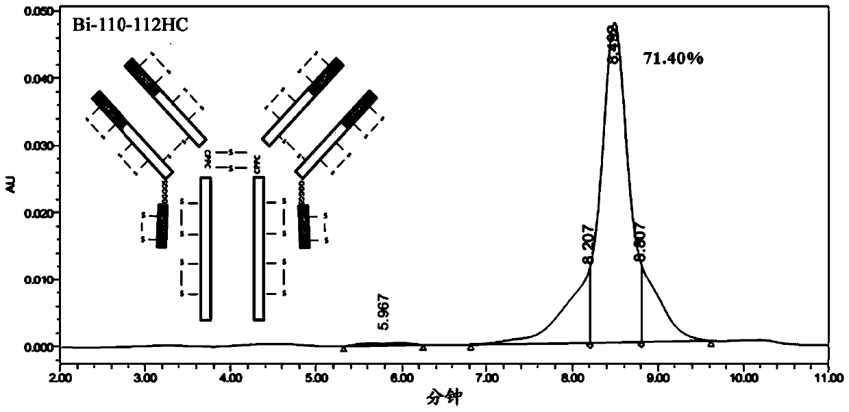 Novel antibody molecule, preparation method thereof and use thereof