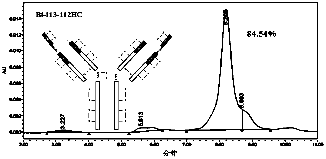 Novel antibody molecule, preparation method thereof and use thereof