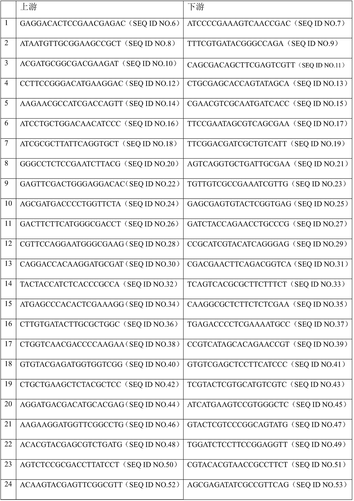 Siphoviridae as well as obtaining method and application thereof