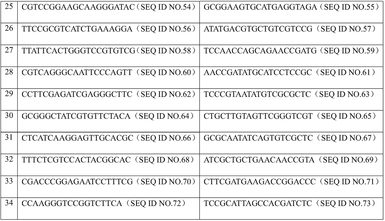 Siphoviridae as well as obtaining method and application thereof