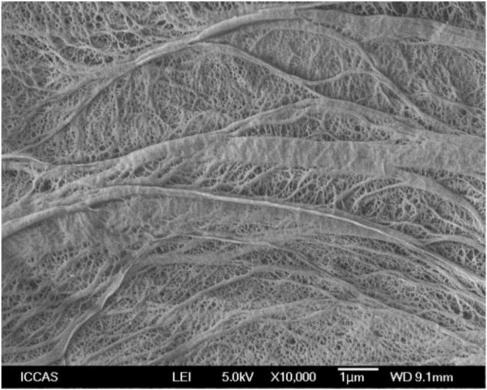 Preparation method of porous polyethylene film