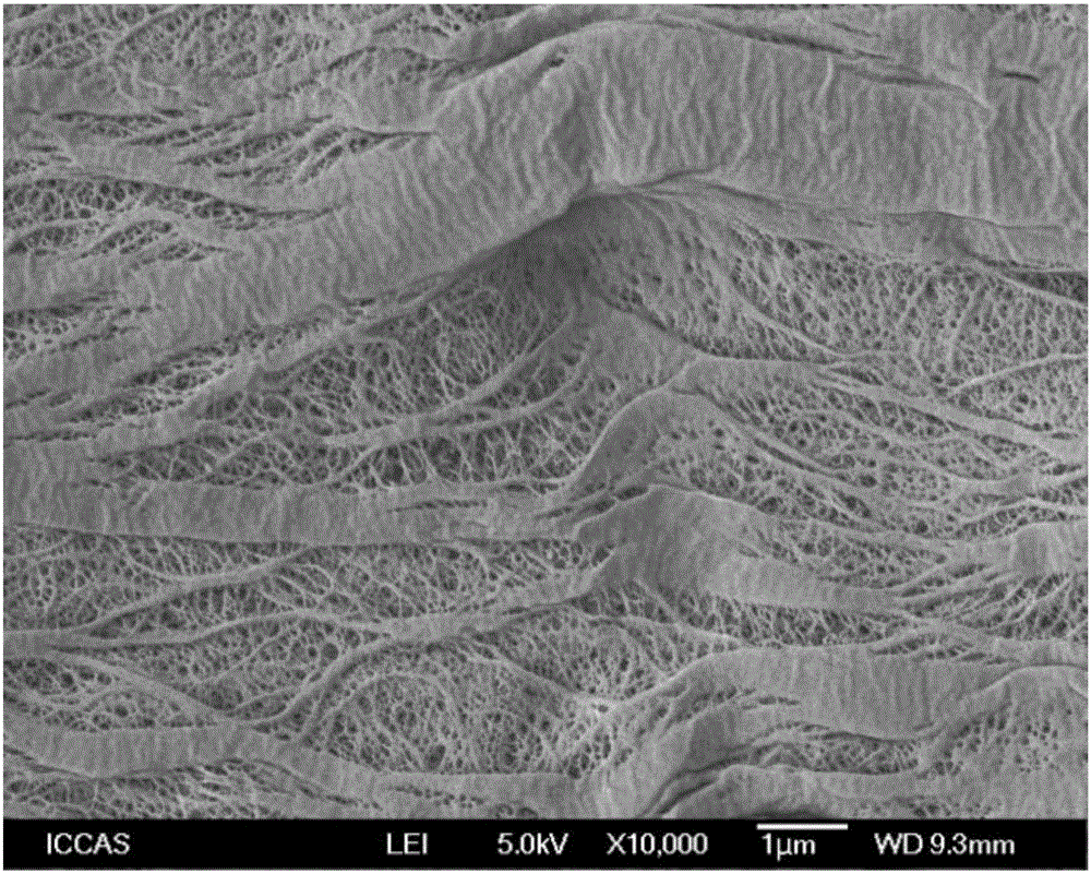 Preparation method of porous polyethylene film