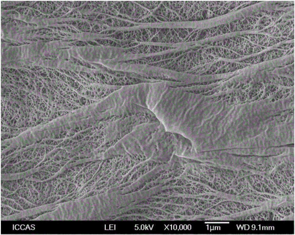 Preparation method of porous polyethylene film