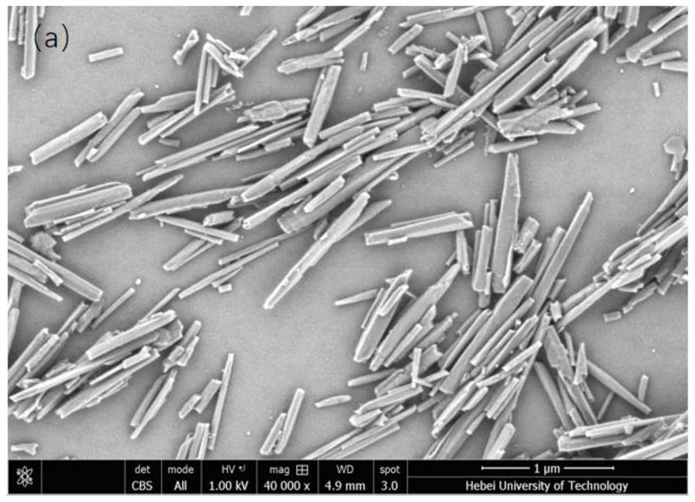 A kind of preparation method of acid-base double-layer core-shell nanotube/speek composite proton exchange membrane