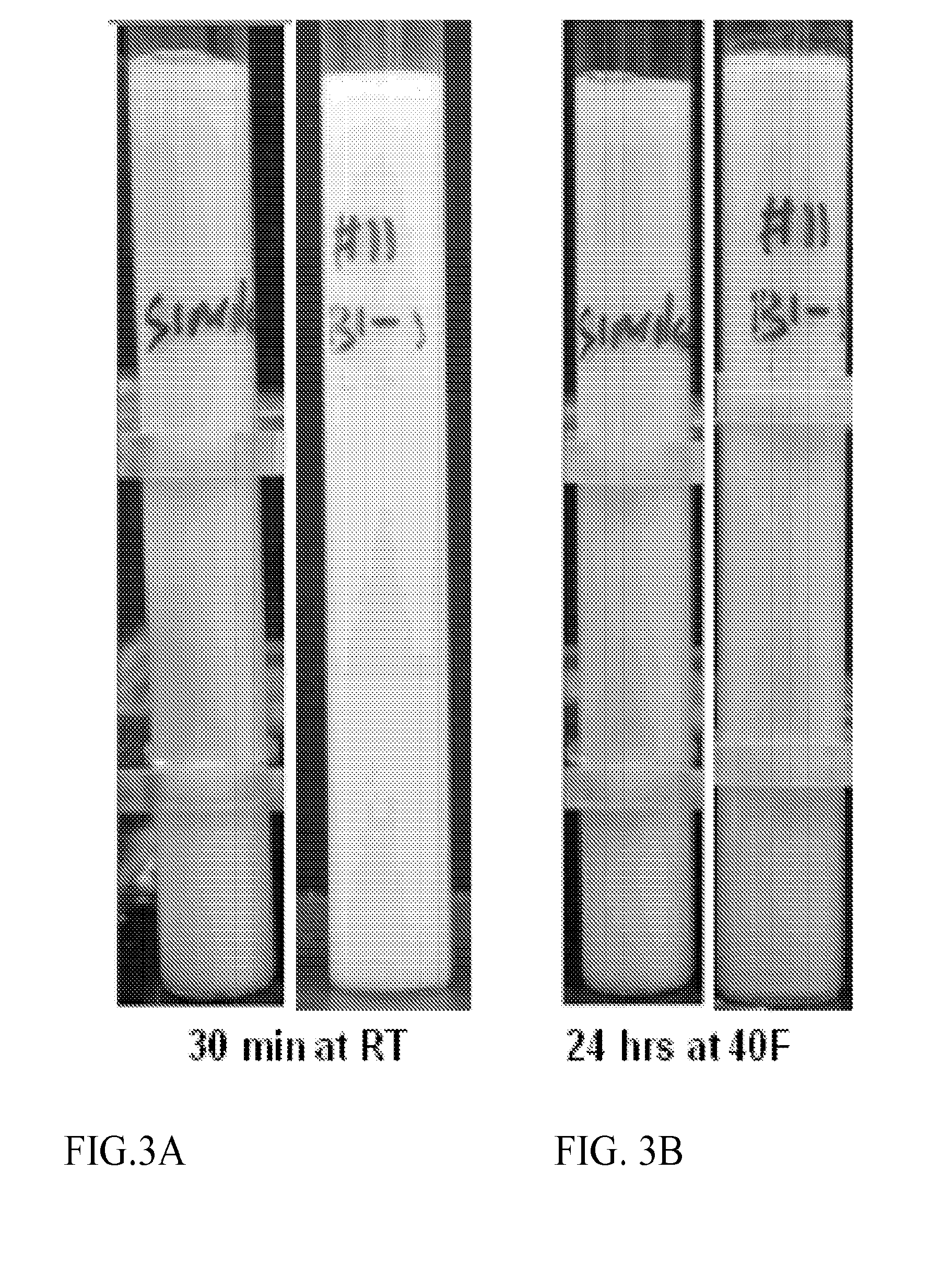 Extruded nutritional powders having improved emulsion stability and dispersibility and methods of manufacturing same