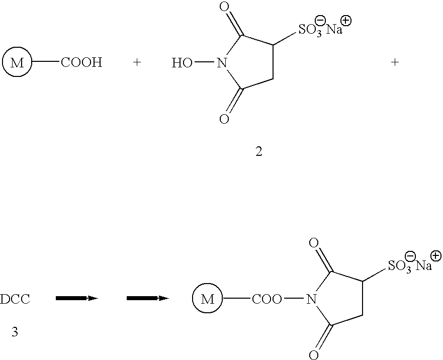 Methods for the detection, analysis and isolation of nascent proteins