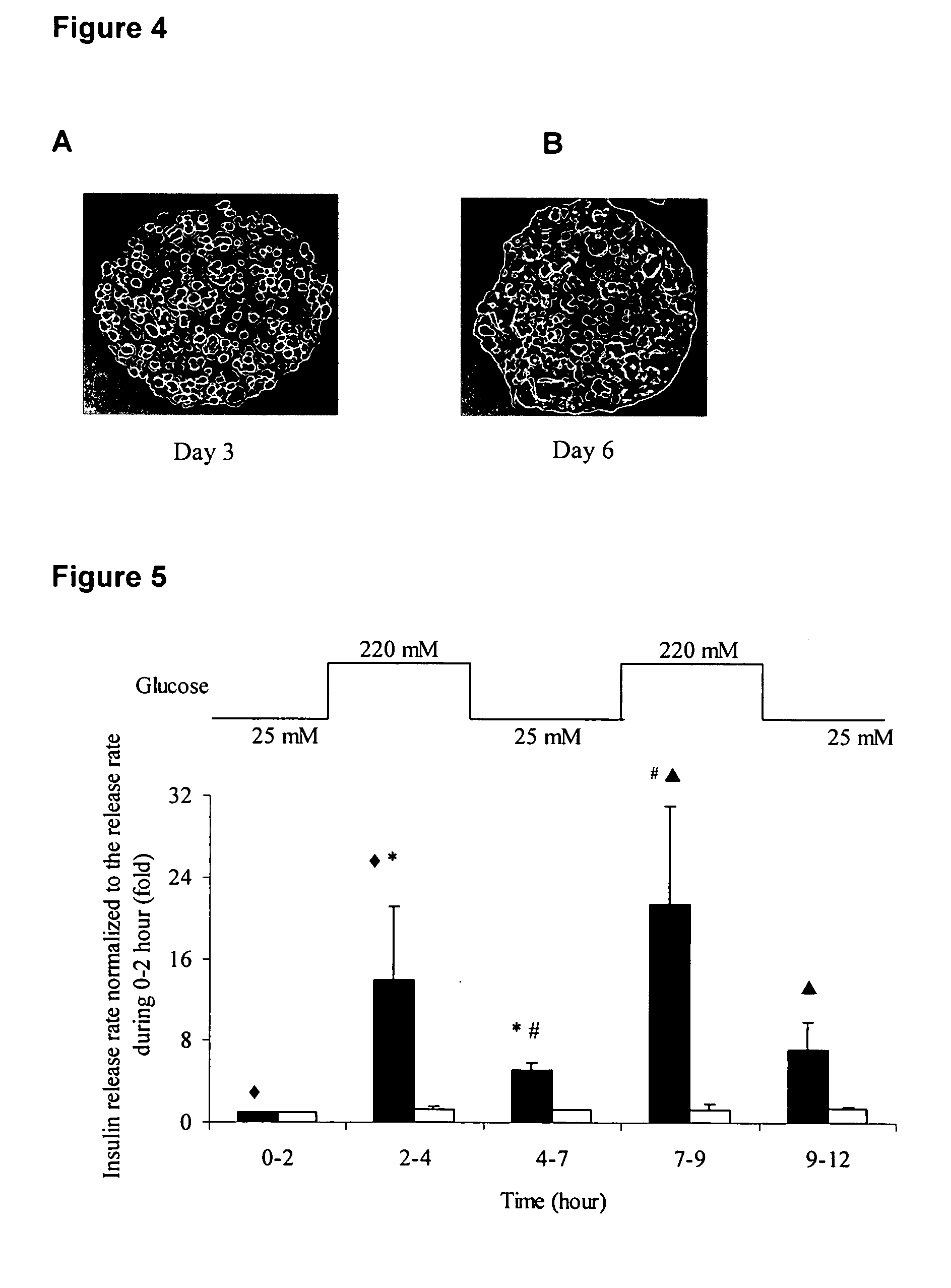 Insulin delivery system