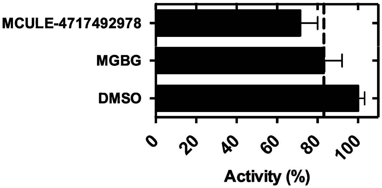 Application and Screening Method of Small Molecule Covalent Inhibitors in the Preparation of Drugs Inhibiting S-adenosylmethionine Decarboxylase