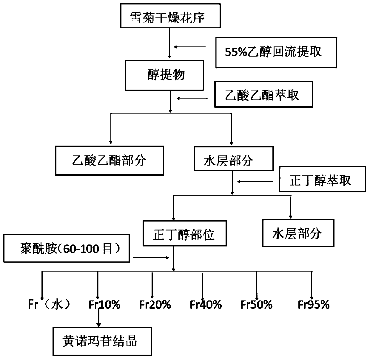 Method for extracting flavanomarein and marein in senecio cineraria