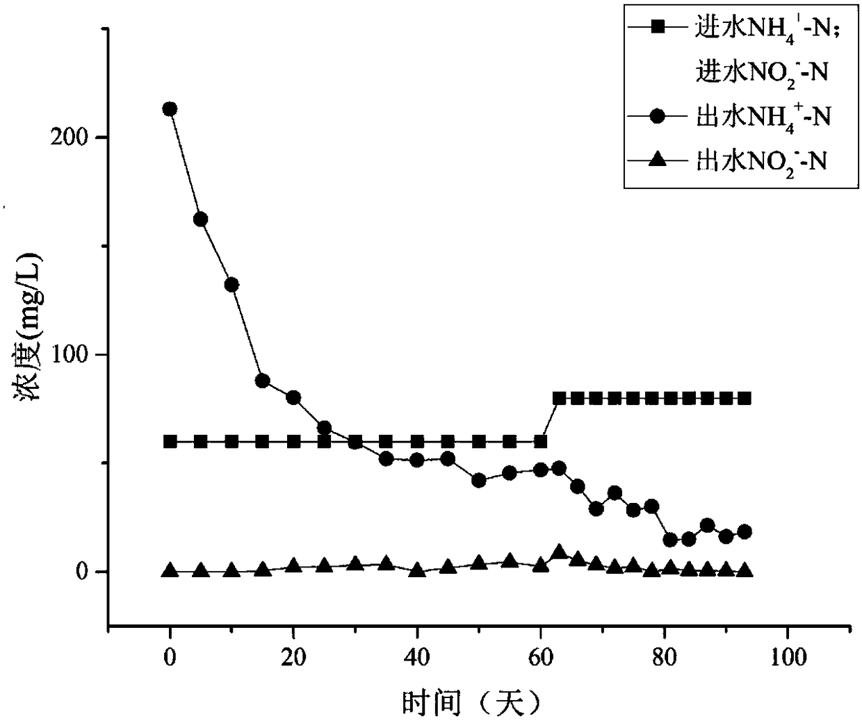 Composite biological filler for promoting rapid start-up and stable operation of anaerobic ammonium oxidation and preparation method and application thereof