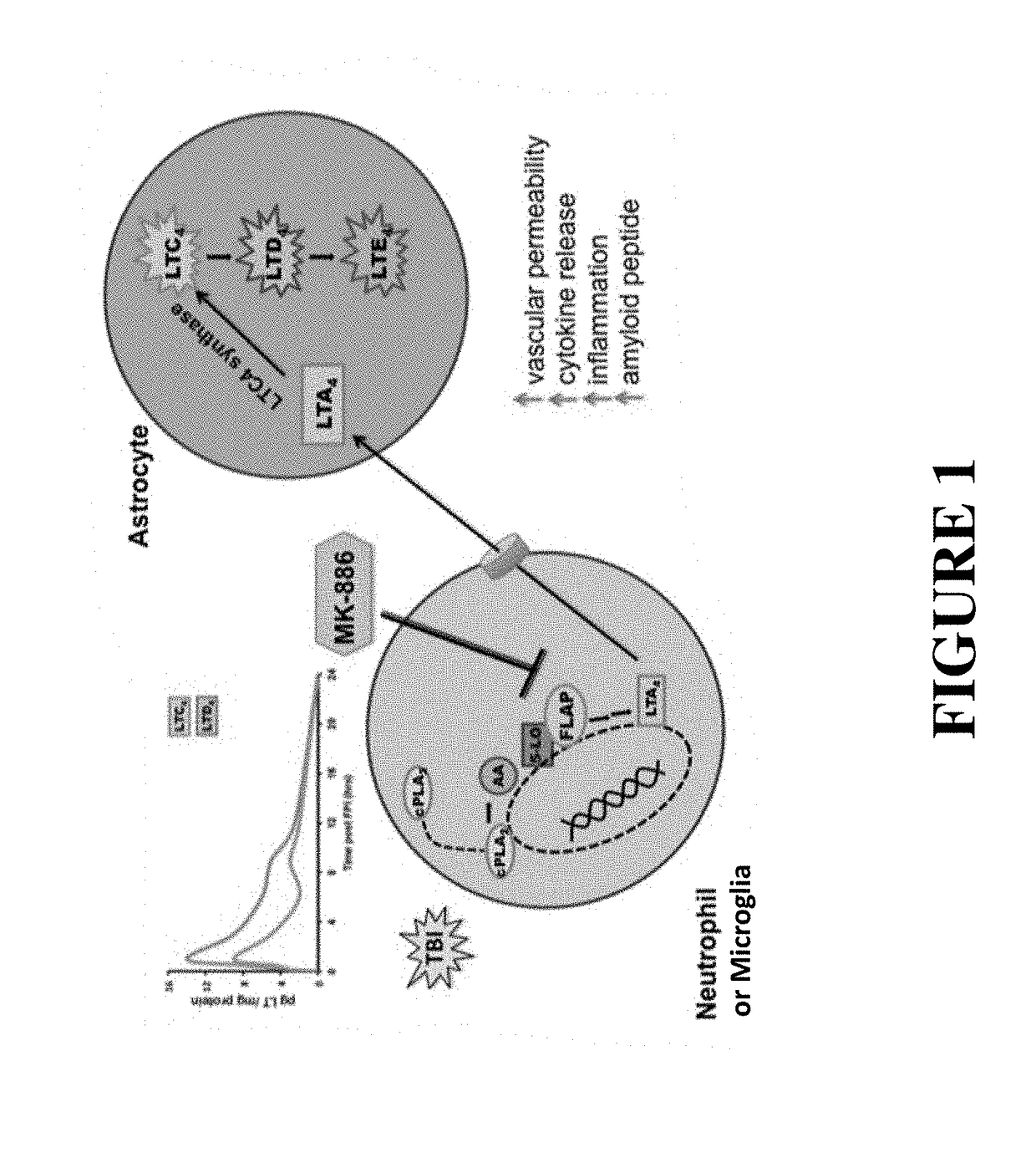 Use of flap inhibitors to reduce neuroinflammation mediated injury in the central nervous system