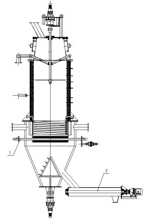 Agroforestrial biomass gasification furnace adapted to multiple raw materials