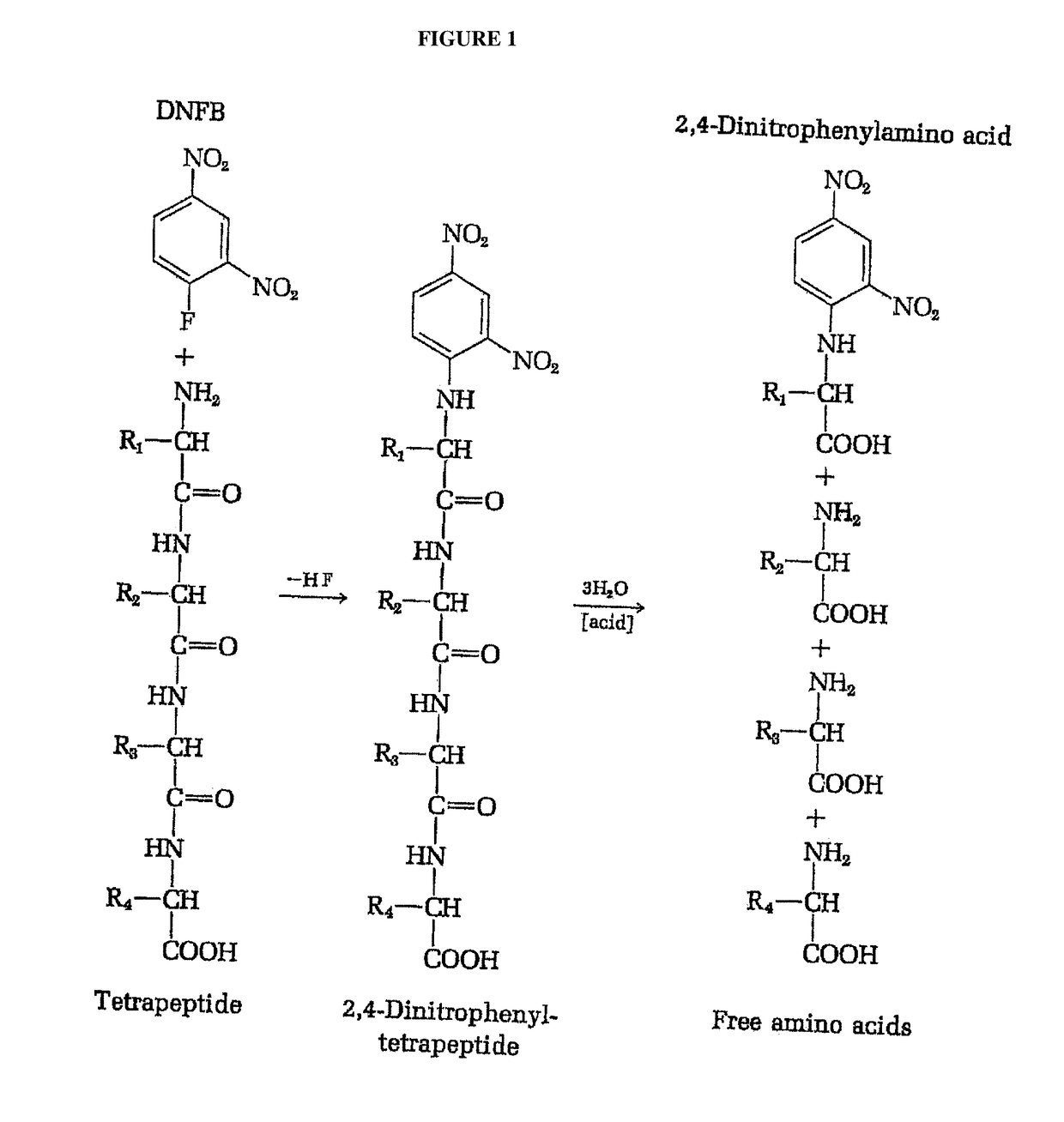 Identifying peptides at the single molecule level