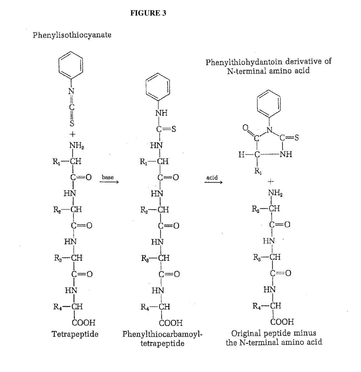 Identifying peptides at the single molecule level