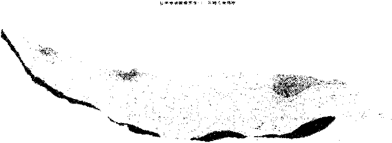 Method and device for acquiring three-dimensional paleotopographic map