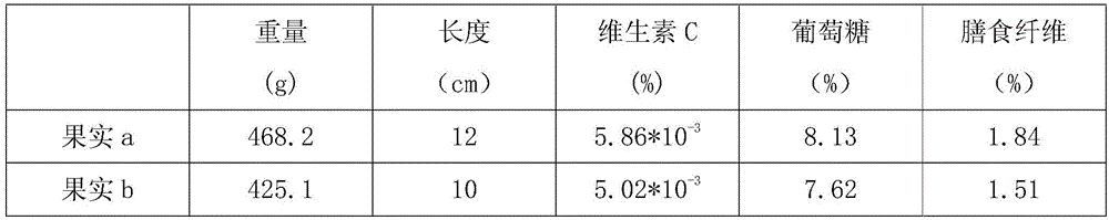 Plantation method of dragon fruits