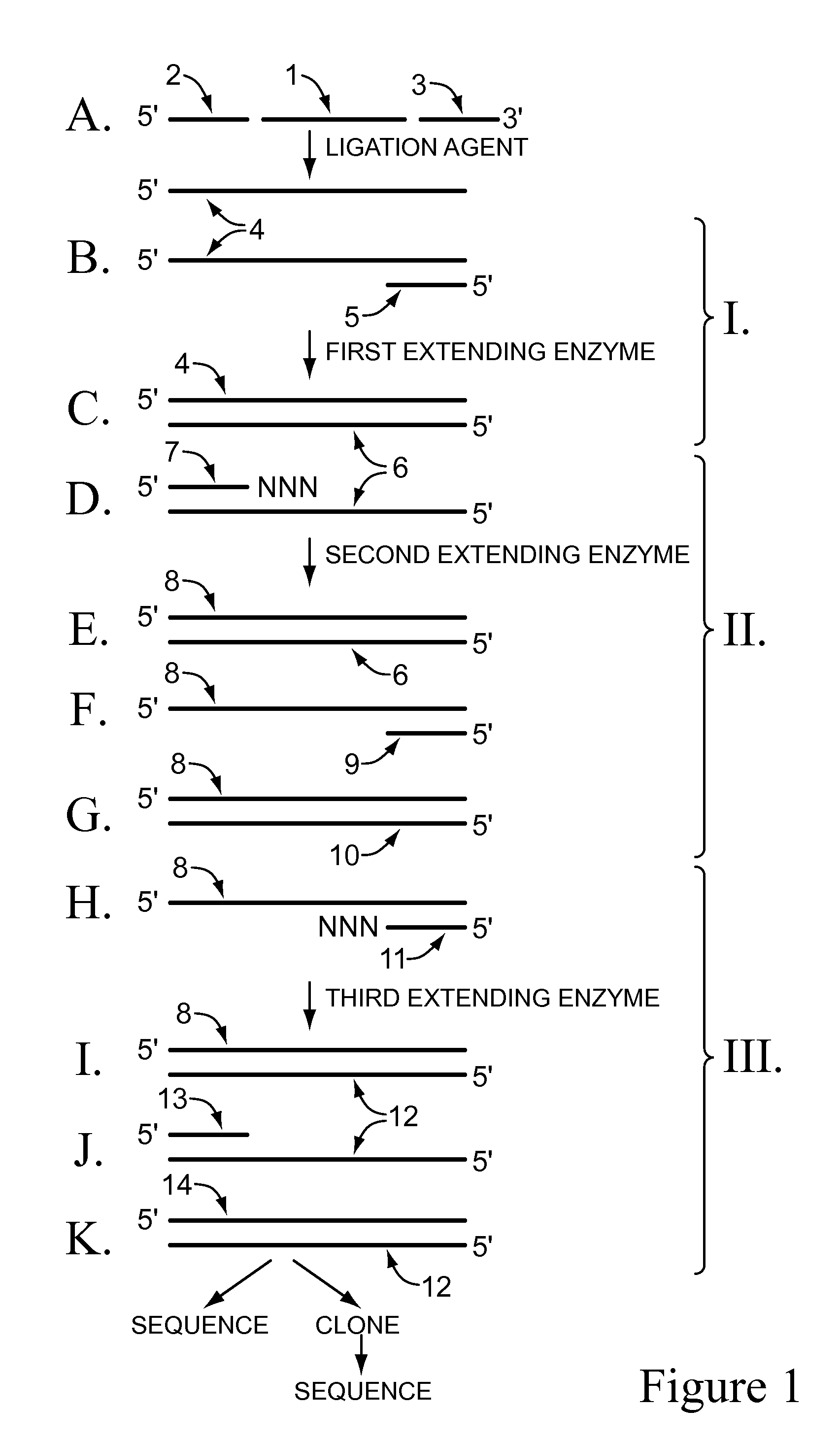 Methods for normalizing and for identifying small nucleic acids