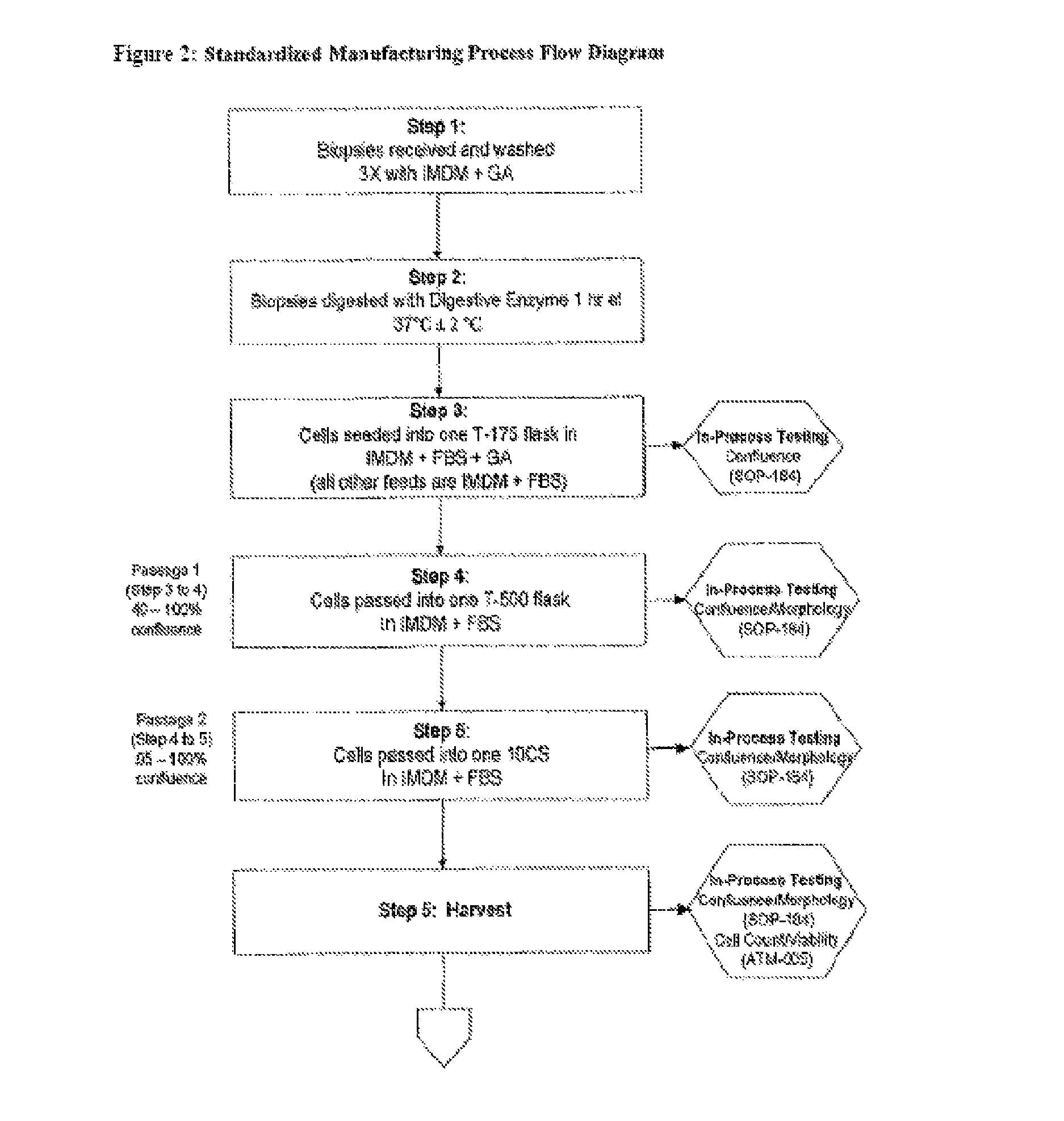 Treatment of vocal cords with autologous dermal fibroblast formulation